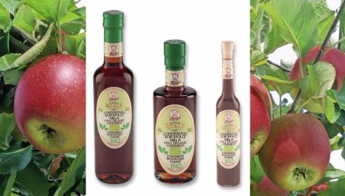 B-R0233: Organic Balsamic Condiment APPLE 250ml