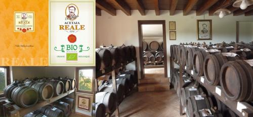 Visit the Balsamic farm and its Museum