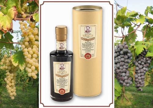 L' Aceto Balsamico Di Modena IGP Reale