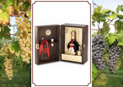 L' Aceto Balsamico Tradizionale Di Modena DOP Reale