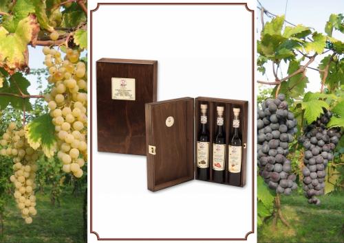 I Condimenti Aromatizzati Reale