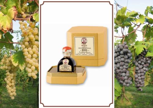 Il Condimento Agrodolce Reale